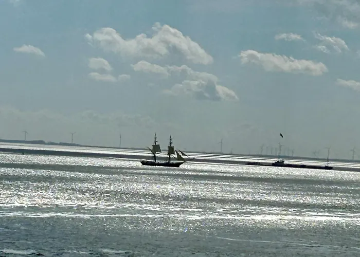 Schau Aufs - Traumlage Erste Reihe